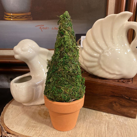 Small Topiary