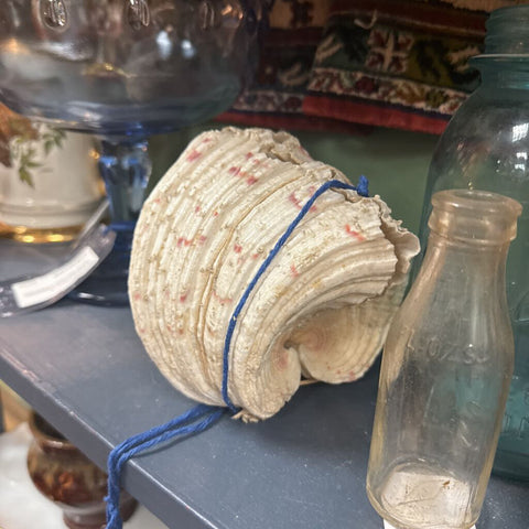 FRAGILE! Vintage Rare Real 2 Piece Fluted Giant Clam Shells Natural Specimen Tridacna Squamosa (IN STORE PICKUP ONLY)