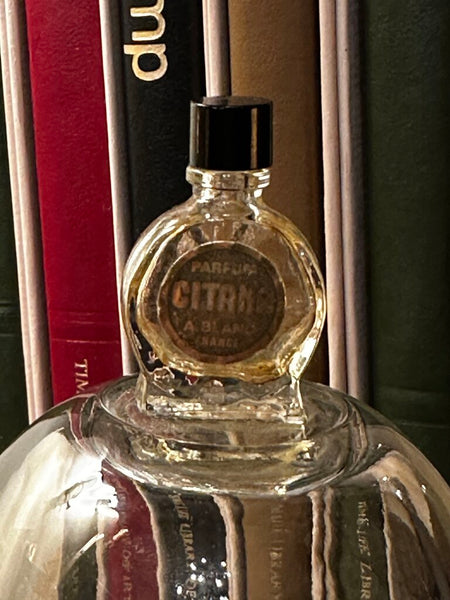 MINI PERFUME BOTTLE CLOCHE