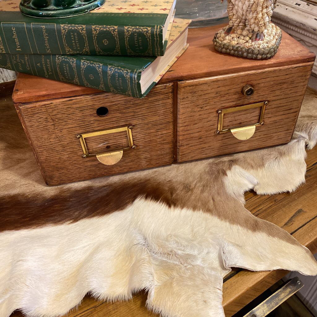 2 Drawer Card Catalog