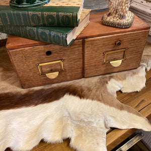 2 Drawer Card Catalog