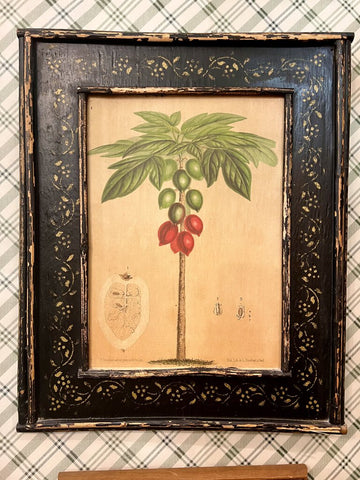 Palm tree bookplate artwork in distressed wood frame -18x 22 (fruit tree)