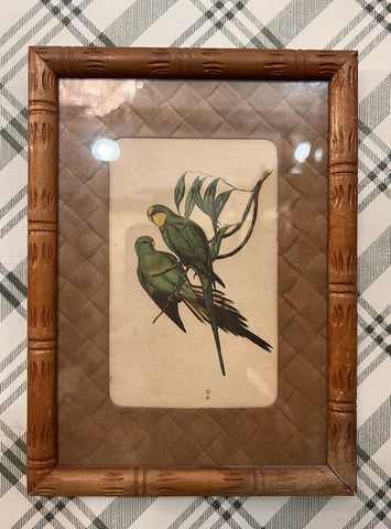 Vintage bird print in faux bamboo frame 6x8, as found