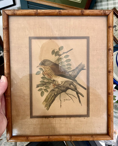 Vintage bird print in faux bamboo frame 9.5x12, as found, bird on branch left facing