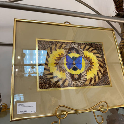 Framed Butterfly Wing Art 18x14"