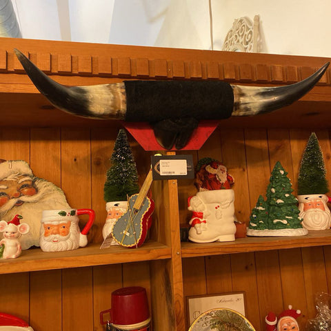 Bull Horns