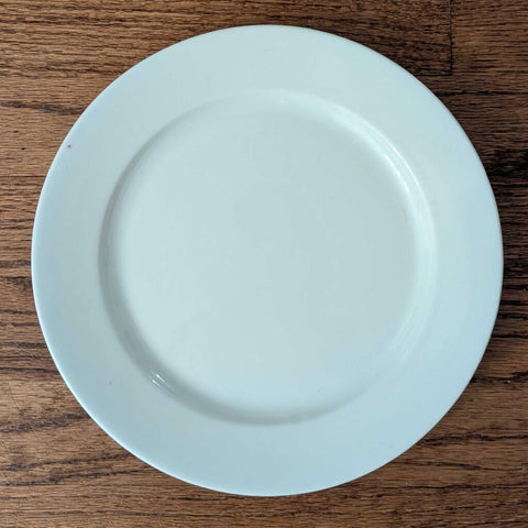 Antique T&R Boote Ironstone Plate 9.5"