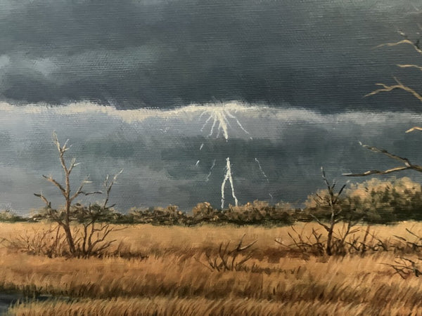 Arthur Sinden Oil Painting of Ducks in Thunderstorm