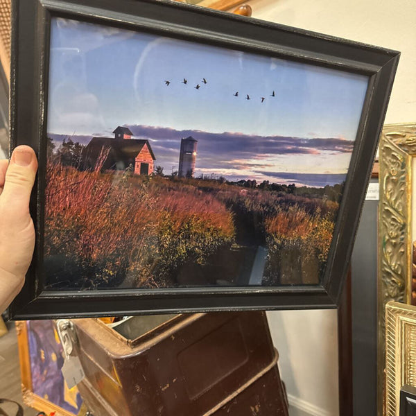 Set of rustic photographs in distressed black frames