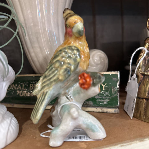 Parrot