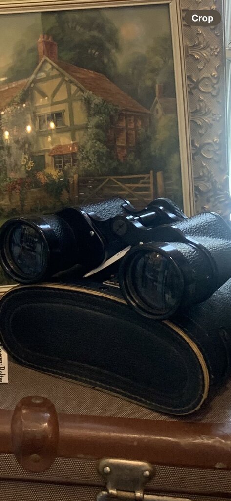 Vintage Sans & Steiffe binoculars with case