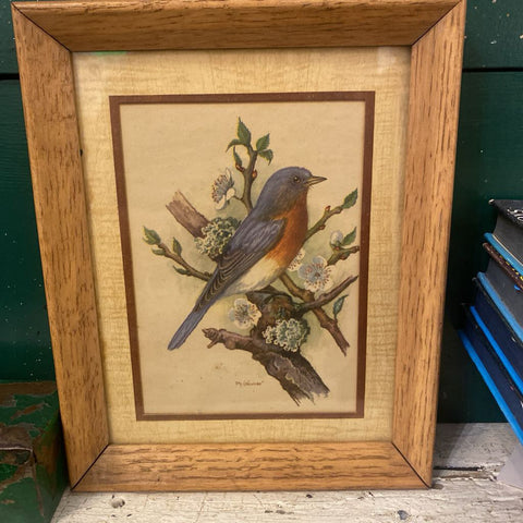 Vintage Framed Bird Print 10" x 8"