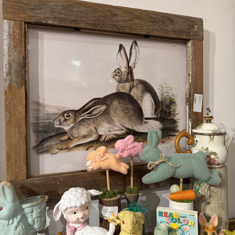Rabbit picture