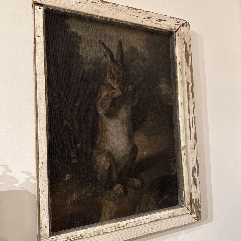 Screen Rabbit