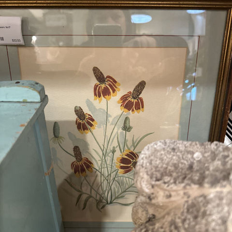 Mexican Hat flowers 14x17