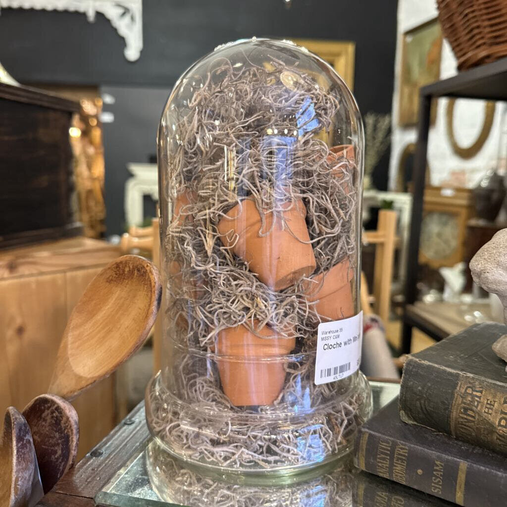 Cloche with Mini pots