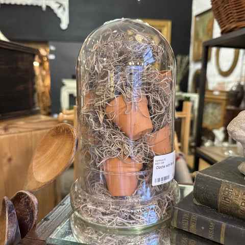Cloche with Mini pots