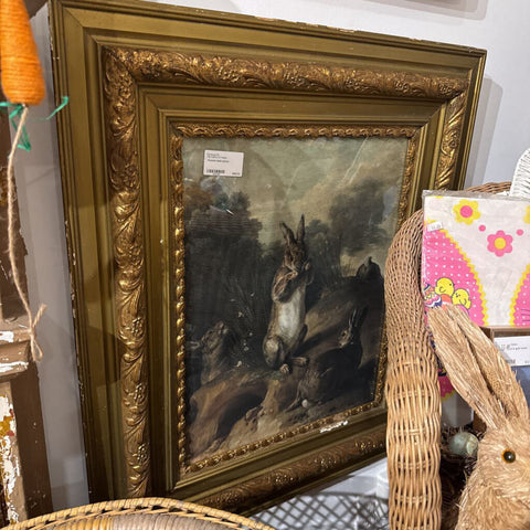 Framed rabbit picture