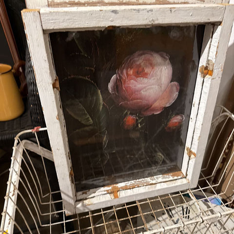 Rose picture