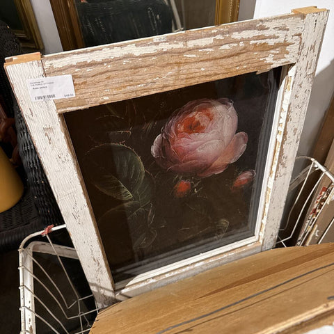 Rose picture