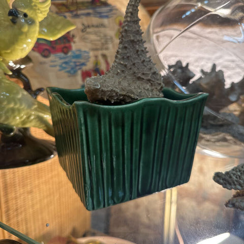 Green Square Pottery W1765