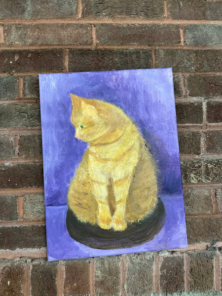 Cat portrait
