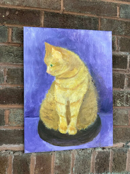 Cat portrait