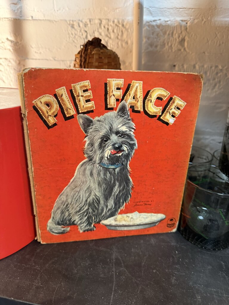 Pie Face Book W1785
