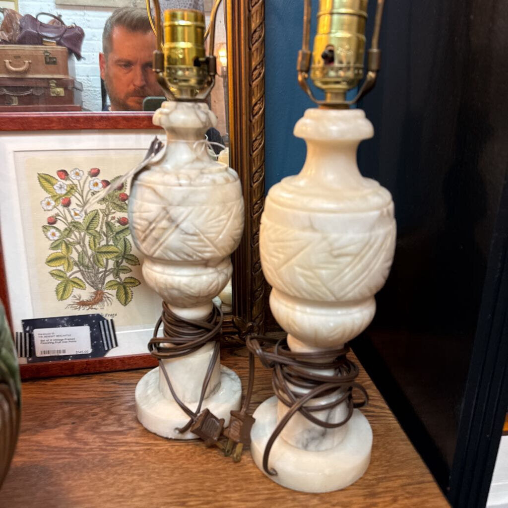 Set of 2 Marble Alabaster Vintage Lamps w/ Harps