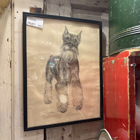 Dog drawing