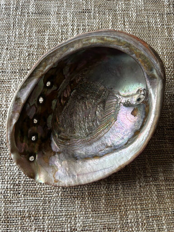 Vintage Large Abalone Shell Iridescent 8 x 6"
