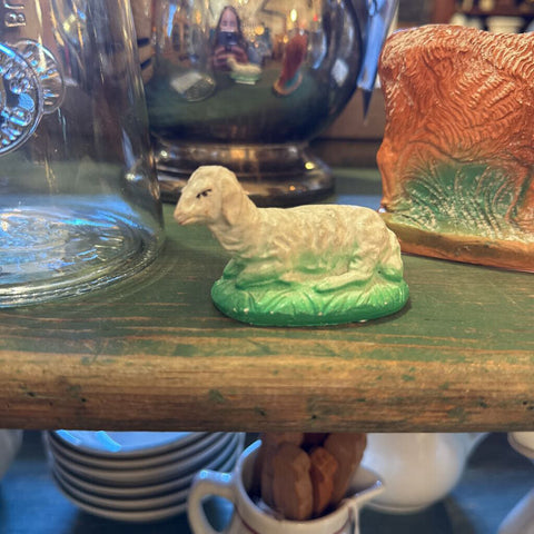 Sheep