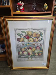 Fruit picture 21 x 27