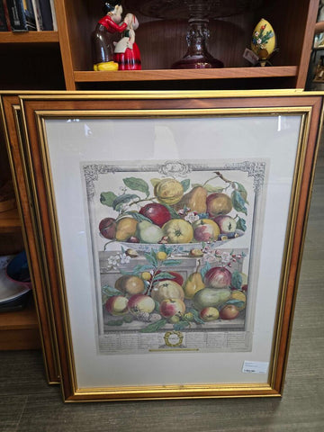 Fruit picture 21 x 27
