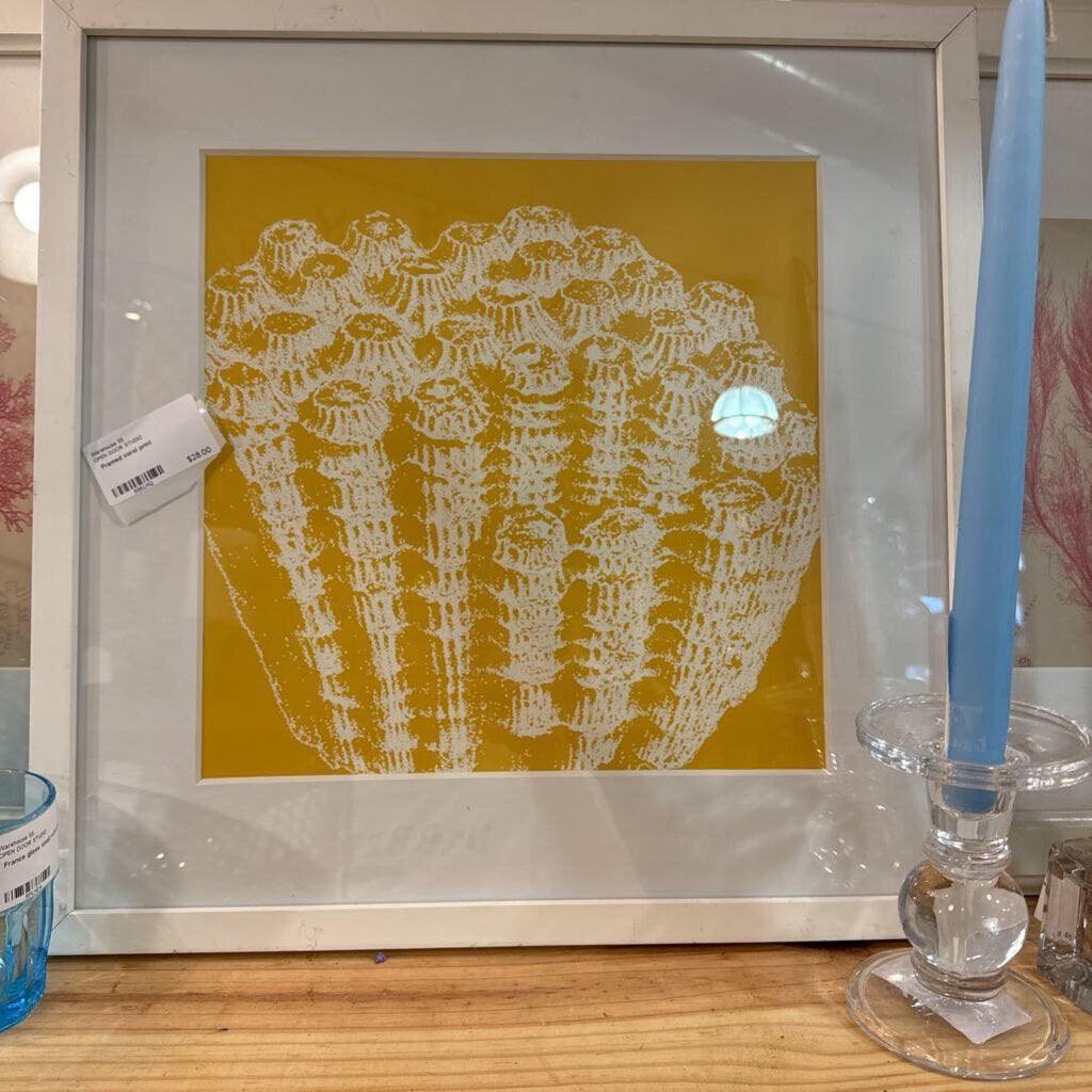 Framed coral print
