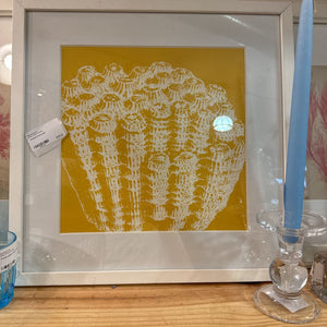 Framed coral print