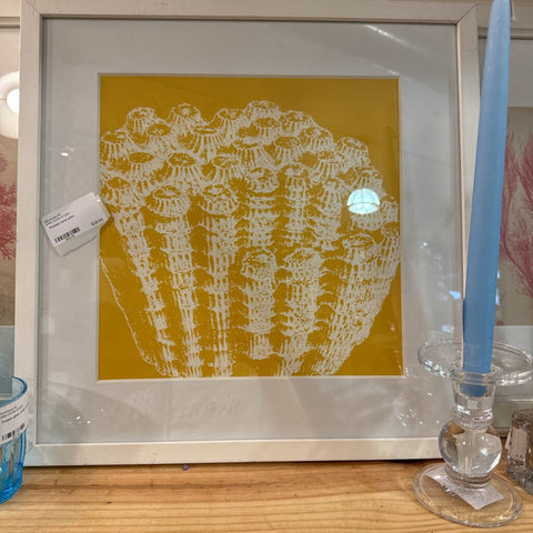 Framed coral print