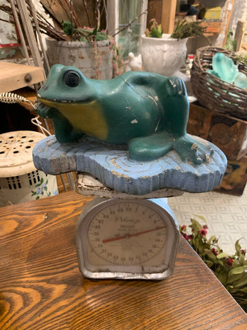 Concrete Frog