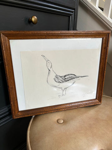 Seagull Sketch Original 16in