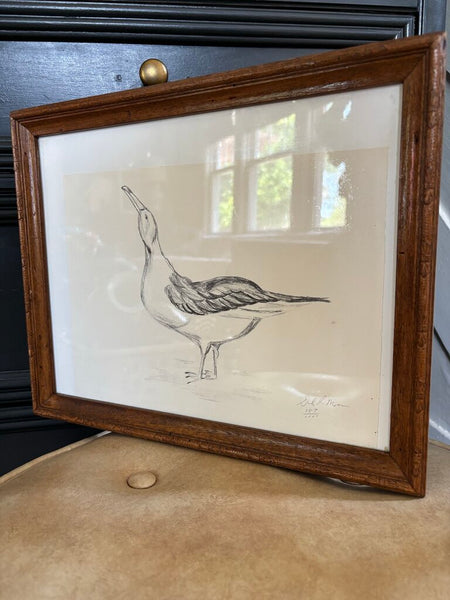 Seagull Sketch Original 16in