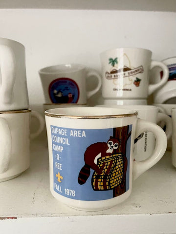 Jens Fresh Vintage ~ Vintage Dupage area council camp mug