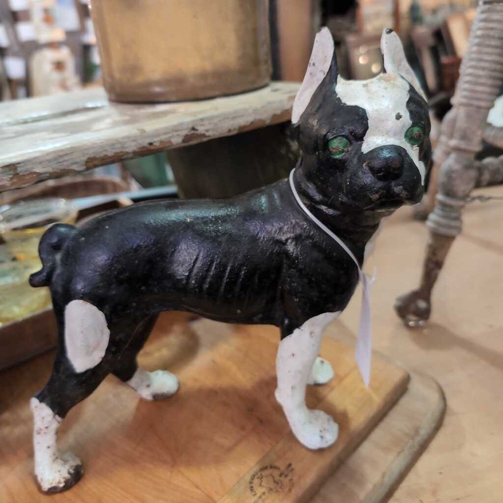 Antique Cast Iron Boston Terrier Doorstop - 11x10. IN STORE PICK UP ONLY