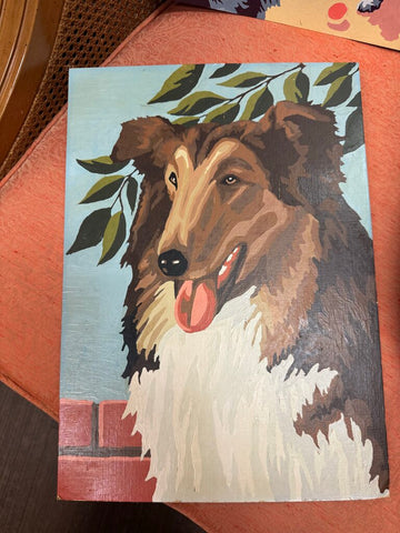 Paint by Number Collie W0613