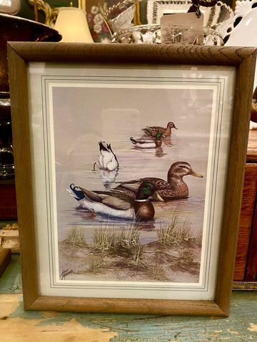 Vintage Duck Artwork (1 of 2) 9" x 11"