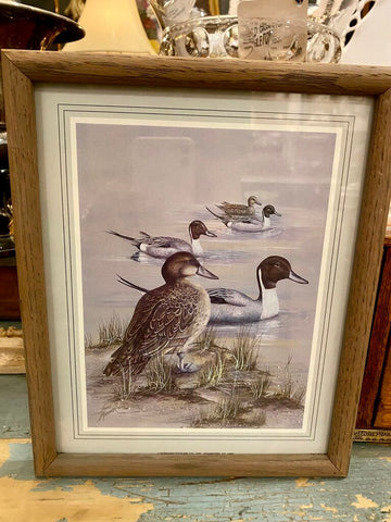 Vintage Duck Artwork (2 of 2) 9" x 11"