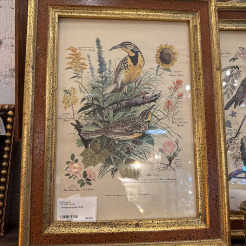 Vintage bird print 12x16