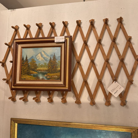 WALL PEG RACK WITH 49 PEGS