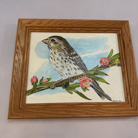 Bird Artwork 10x12 painting oil