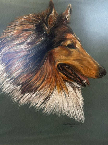 Framed Collie Artwork Penciled + Signed 28T x 24W