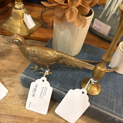 Brass Pheasant
